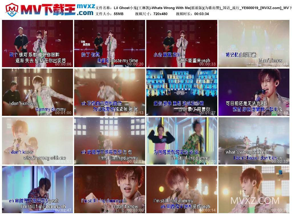 Lil Ghost小鬼(王琳凯)-Whats Wrong With Me(摇滚版)(为歌而赞)_国语_流行_YE600019